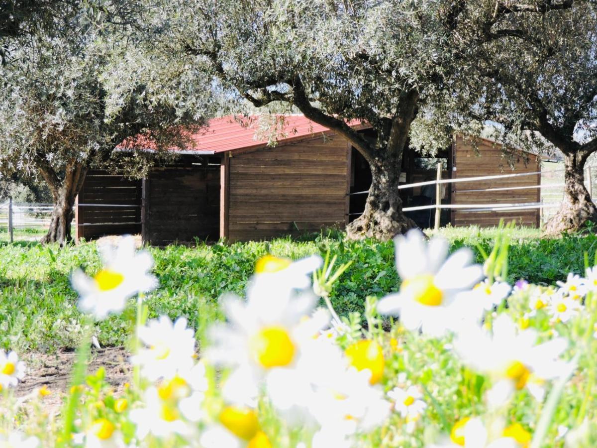 Penzion Nogueira Country House Fundão Exteriér fotografie